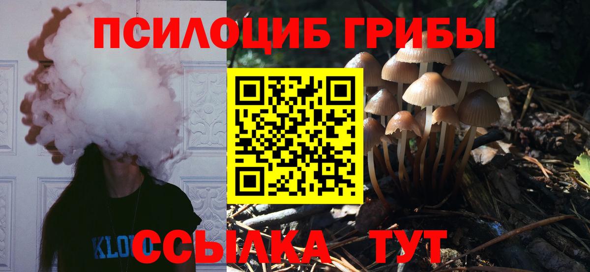 Галлюциногенные грибы прущие грибы Рассказово