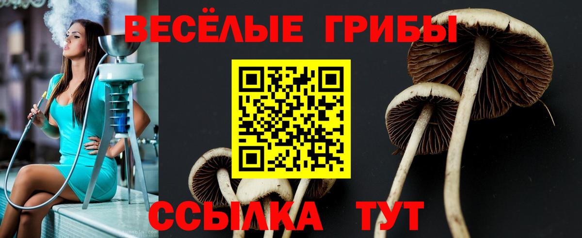 Рассказово  Галлюциногенные грибы MAGIC MUSHROOMS  купить   Вход с VPN  Псилоцибиновые грибы MAGIC MUSHROOMS 